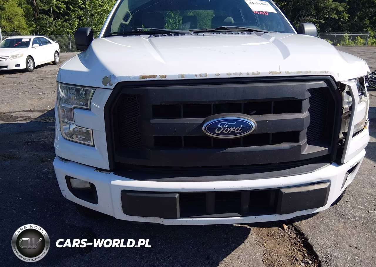 2015 Ford F-150 Xl VIN:1FTEX1CP3FKD74468 - 17