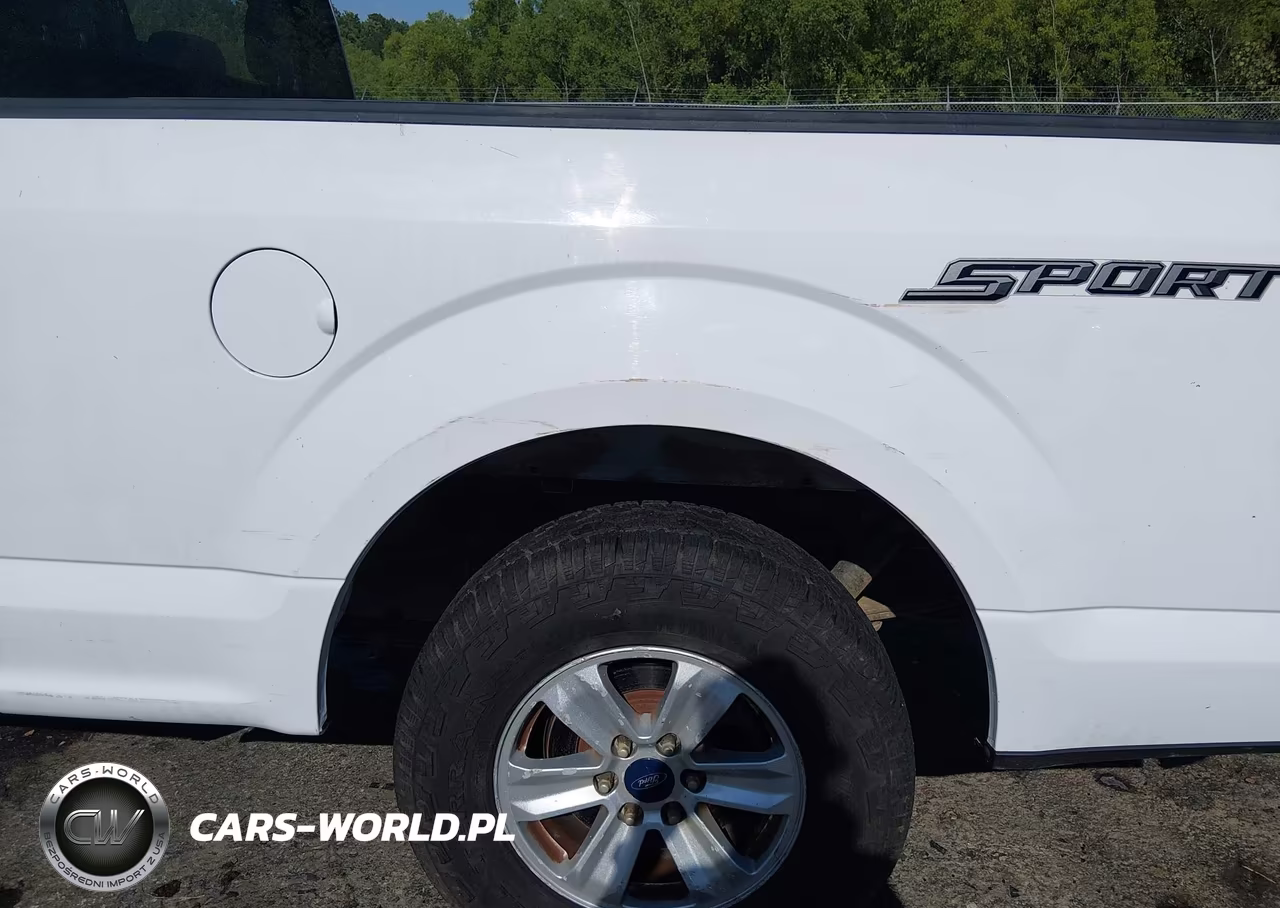 2015 Ford F-150 Xl VIN:1FTEX1CP3FKD74468 - 21