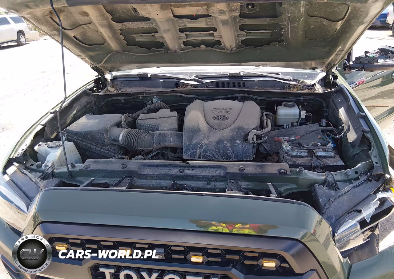 2020 Toyota Tacoma 4Wd Trd Pro VIN:5TFCZ5AN4LX243817 - 10