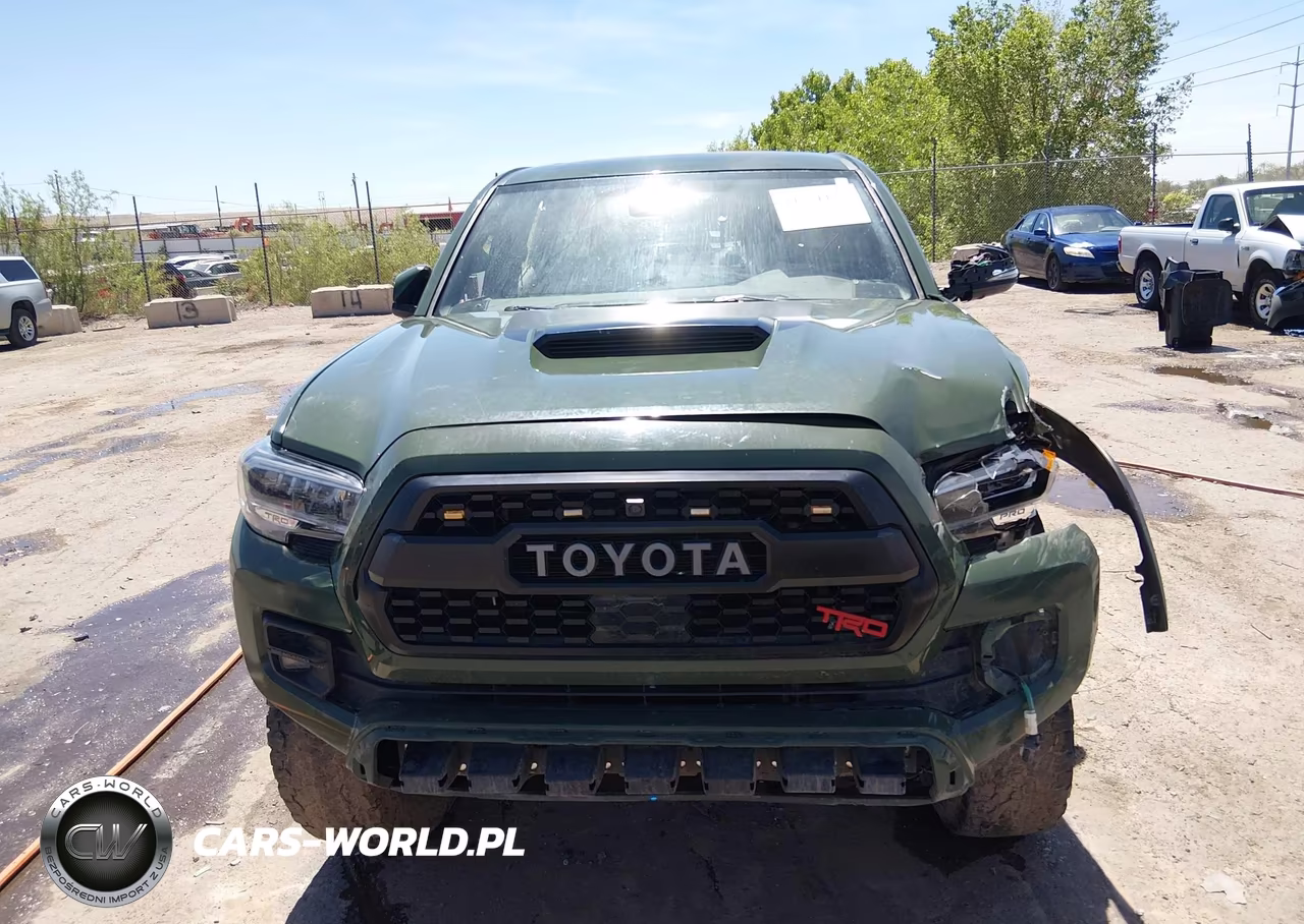2020 Toyota Tacoma 4Wd Trd Pro VIN:5TFCZ5AN4LX243817 - 12