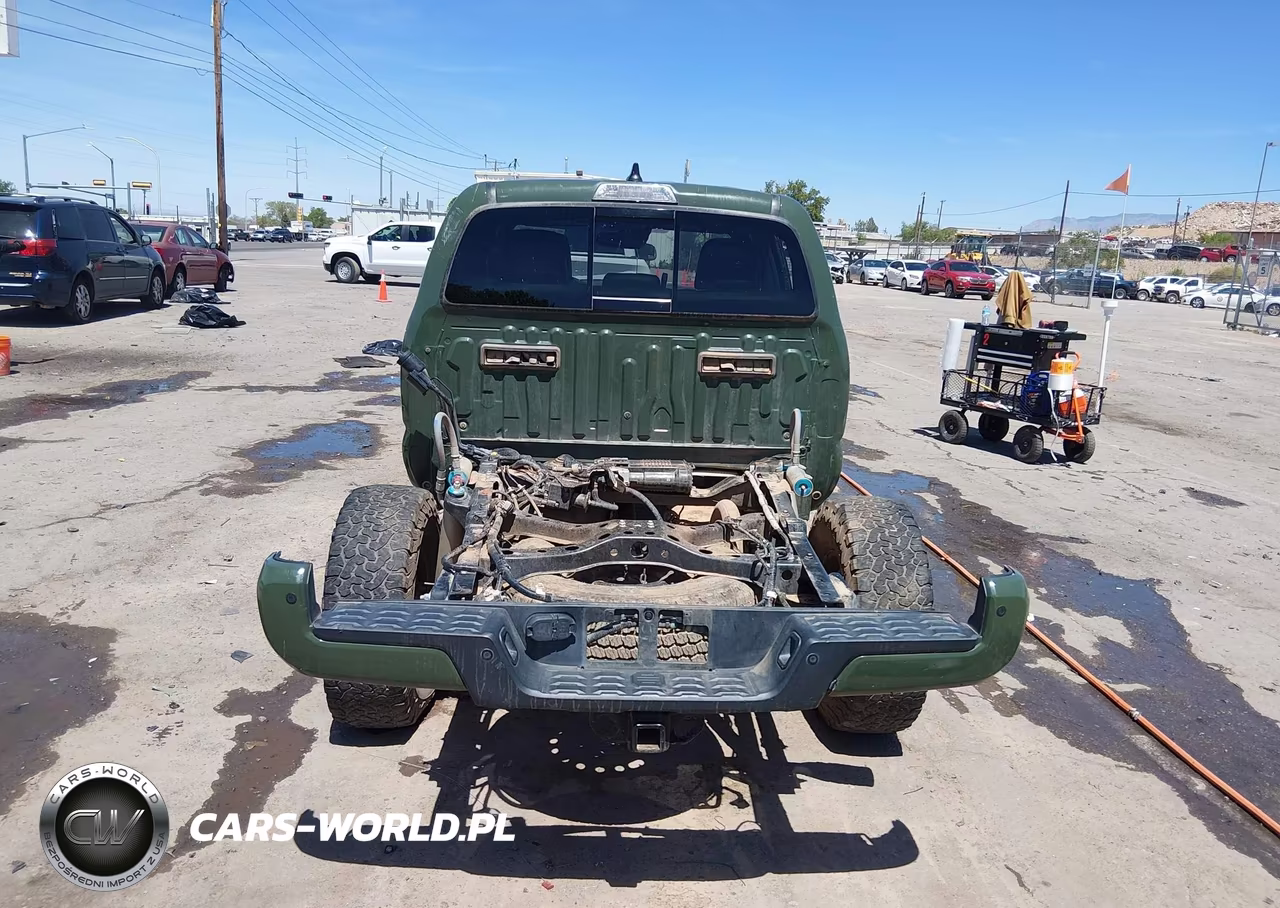 2020 Toyota Tacoma 4Wd Trd Pro VIN:5TFCZ5AN4LX243817 - 17