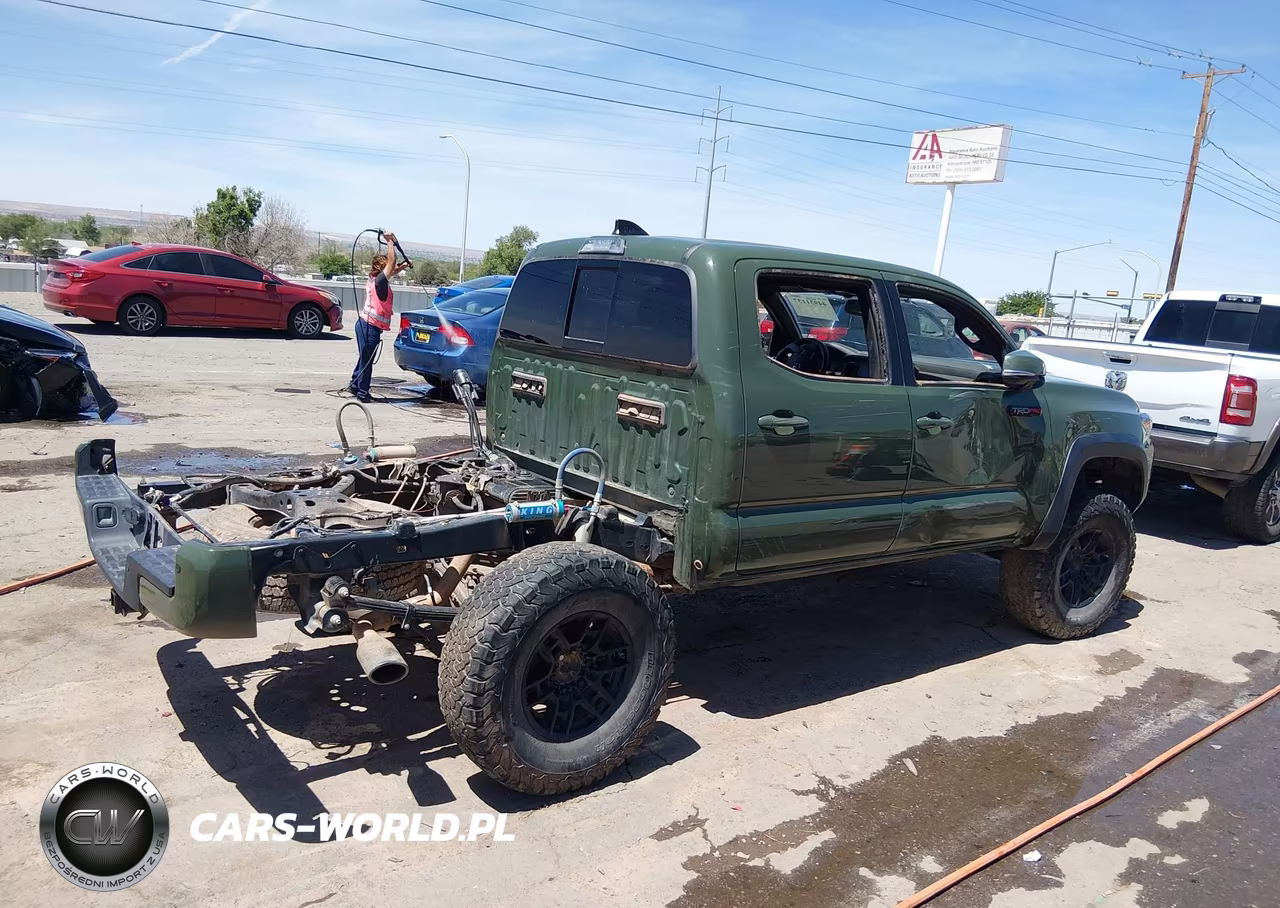2020 Toyota Tacoma 4Wd Trd Pro VIN:5TFCZ5AN4LX243817 - 19