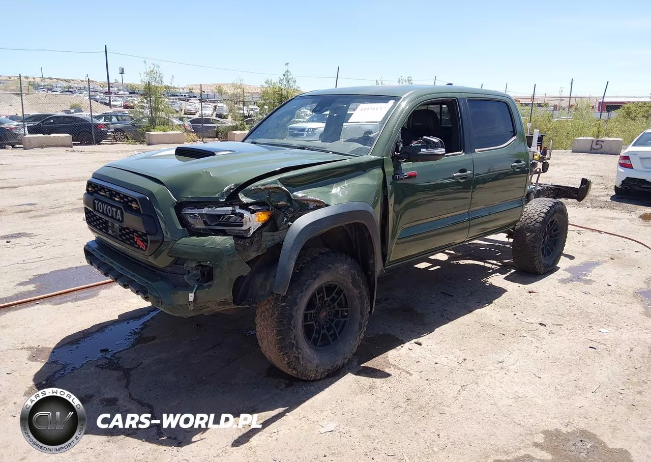 2020 Toyota Tacoma 4Wd Trd Pro VIN:5TFCZ5AN4LX243817 - 2