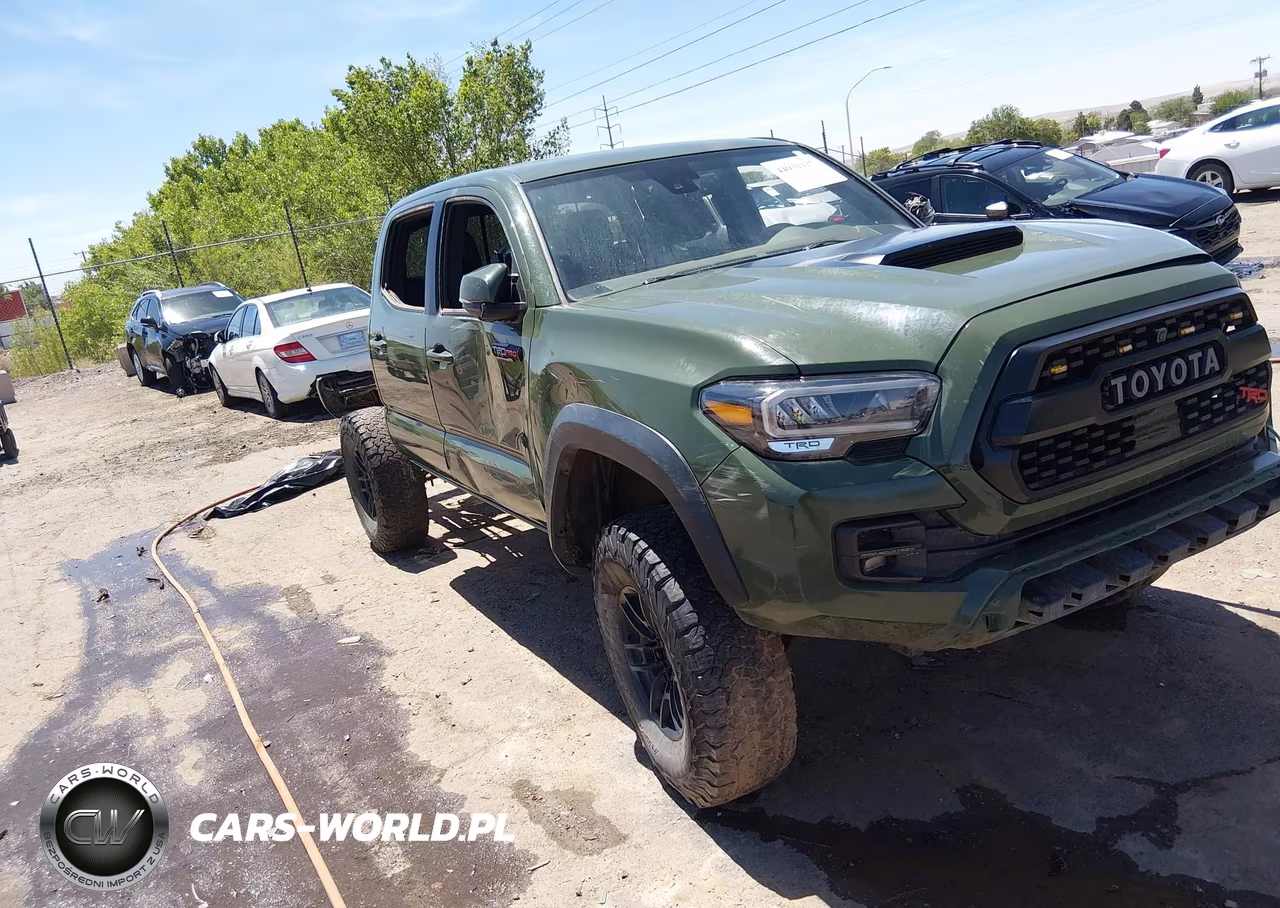 2020 Toyota Tacoma 4Wd Trd Pro VIN:5TFCZ5AN4LX243817 - 20