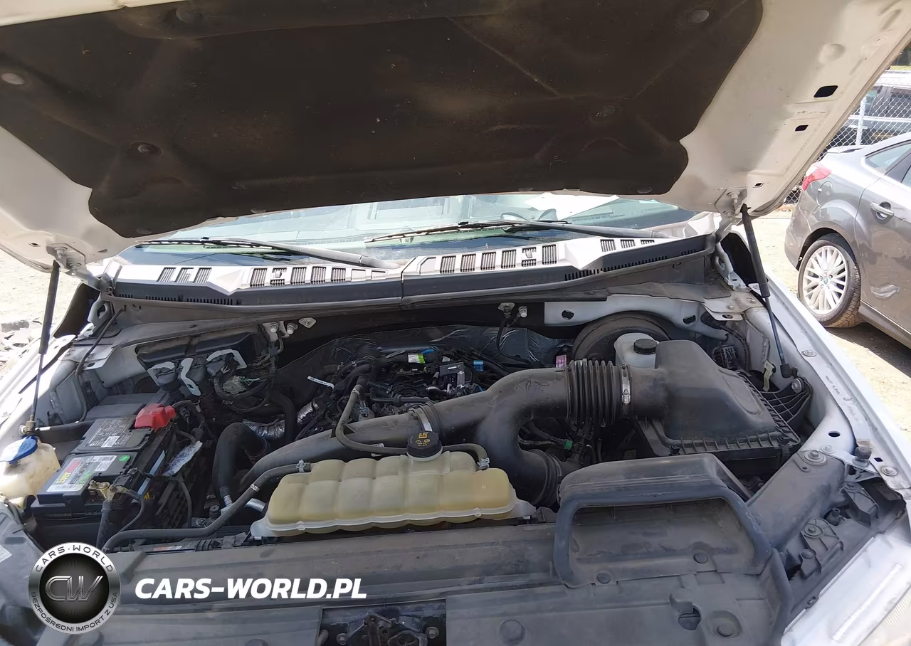 2019 Ford F-150 Xlt VIN:1FTEW1CP8KFB24858 - 10