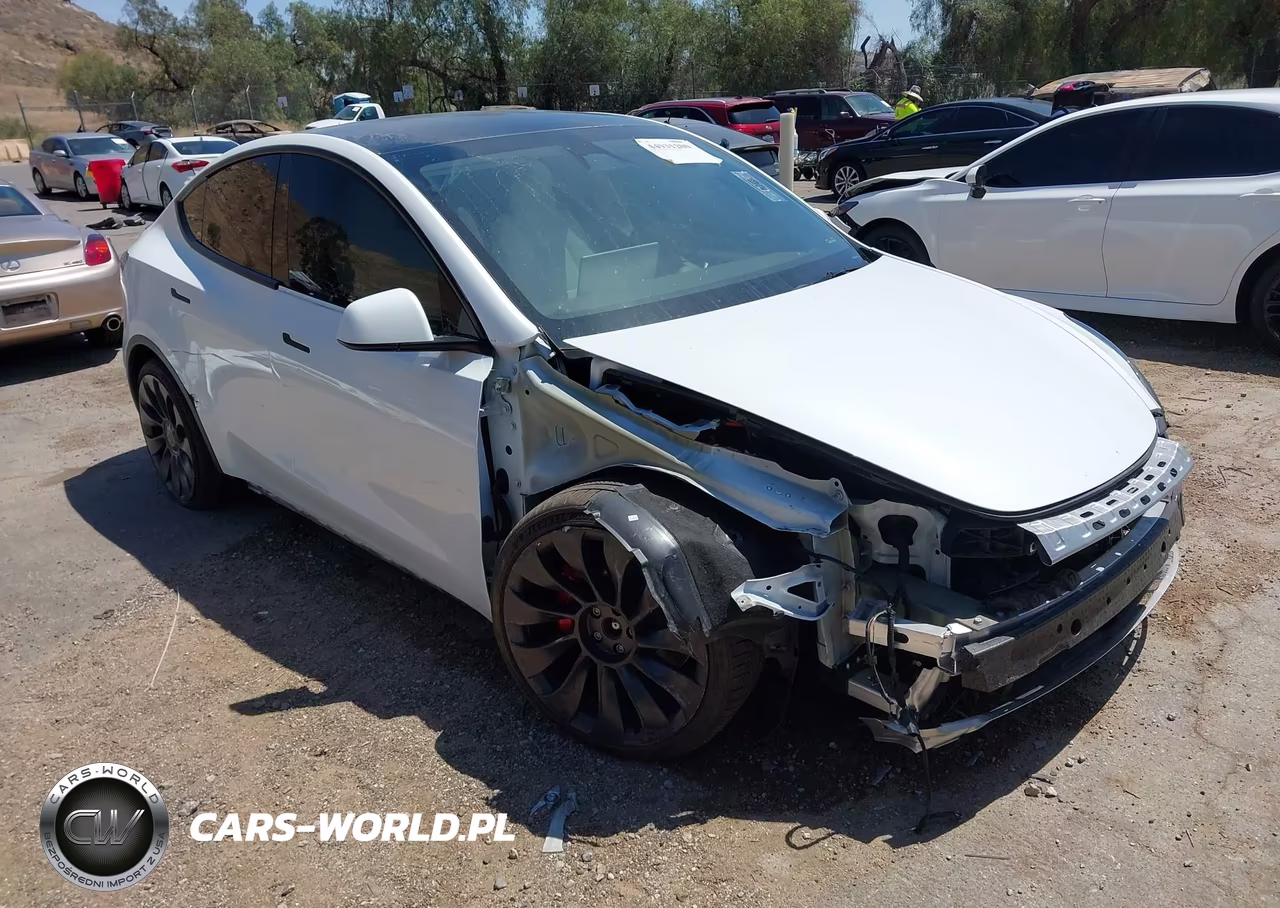 2024 Tesla Model Y Performance Dual Motor All-Wheel Drive