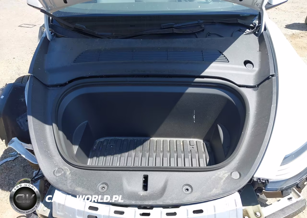 2024 Tesla Model Y Performance Dual Motor All-Wheel Drive VIN:7SAYGDEF5RF049442 - 10