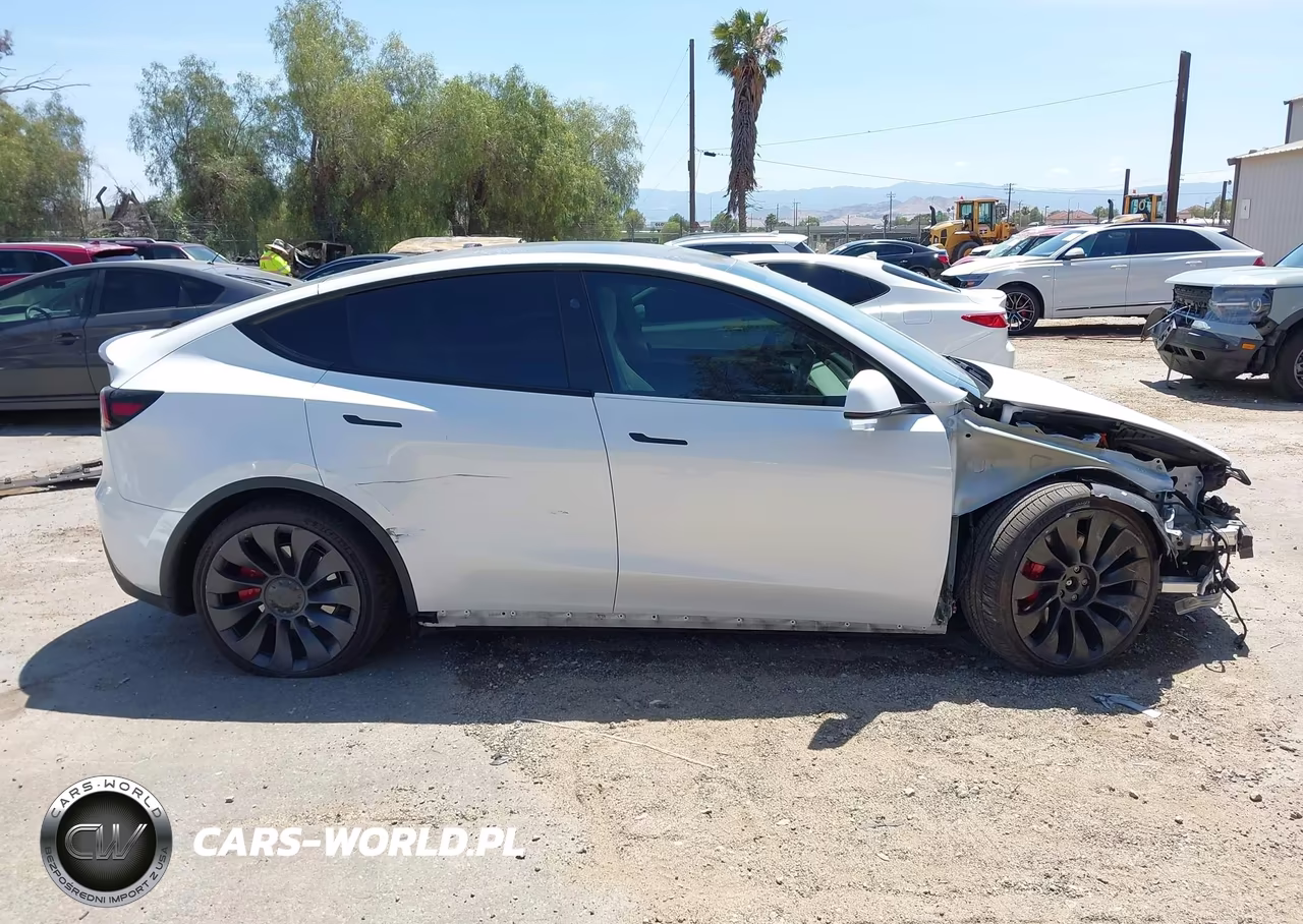 2024 Tesla Model Y Performance Dual Motor All-Wheel Drive VIN:7SAYGDEF5RF049442 - 14