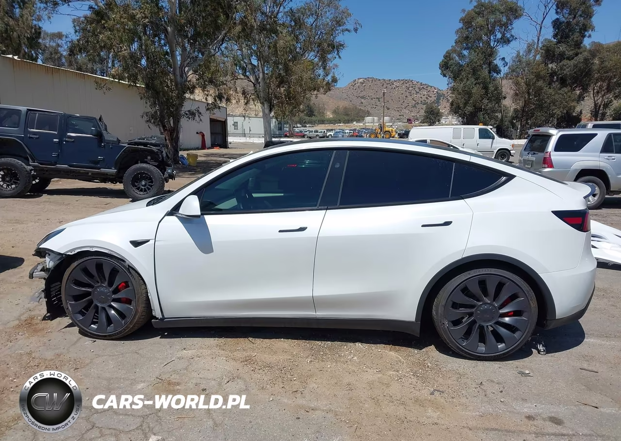 2024 Tesla Model Y Performance Dual Motor All-Wheel Drive VIN:7SAYGDEF5RF049442 - 15