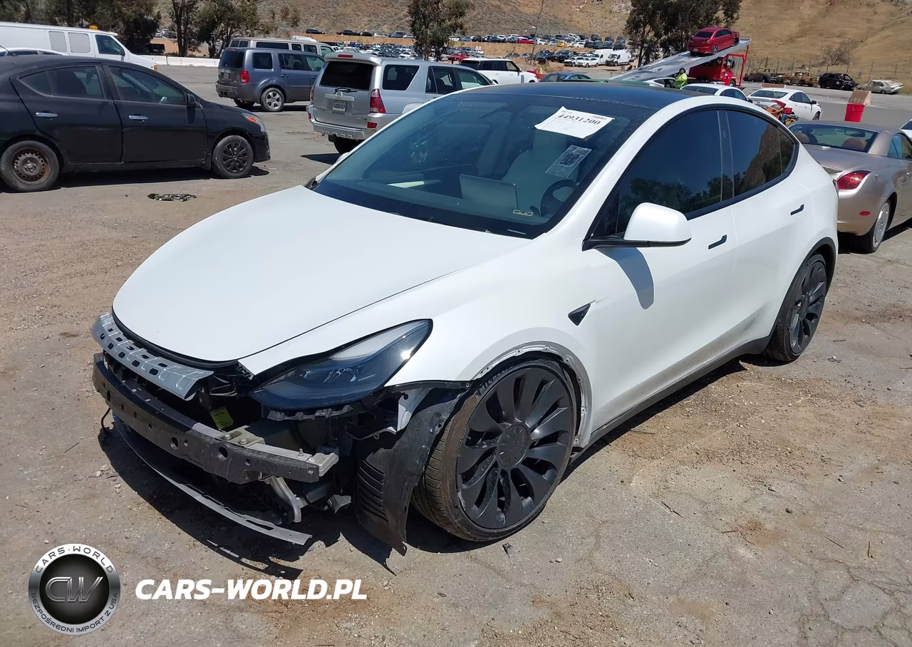 2024 Tesla Model Y Performance Dual Motor All-Wheel Drive VIN:7SAYGDEF5RF049442 - 2