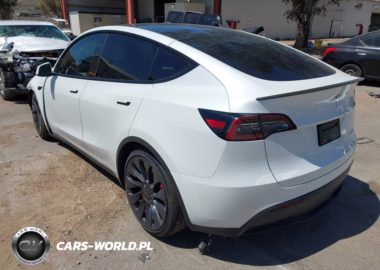 2024 Tesla Model Y Performance Dual Motor All-Wheel Drive VIN:7SAYGDEF5RF049442 - 3