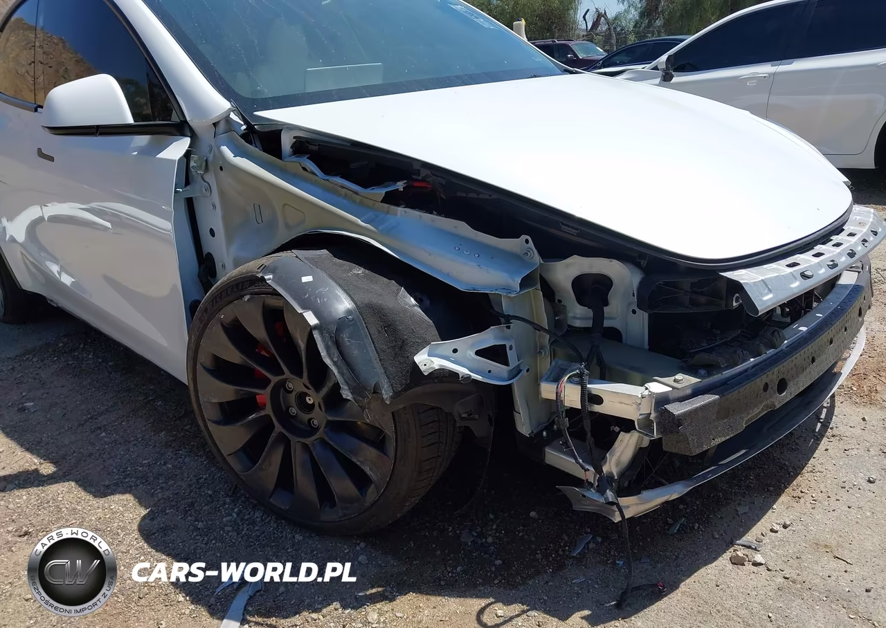 2024 Tesla Model Y Performance Dual Motor All-Wheel Drive VIN:7SAYGDEF5RF049442 - 6