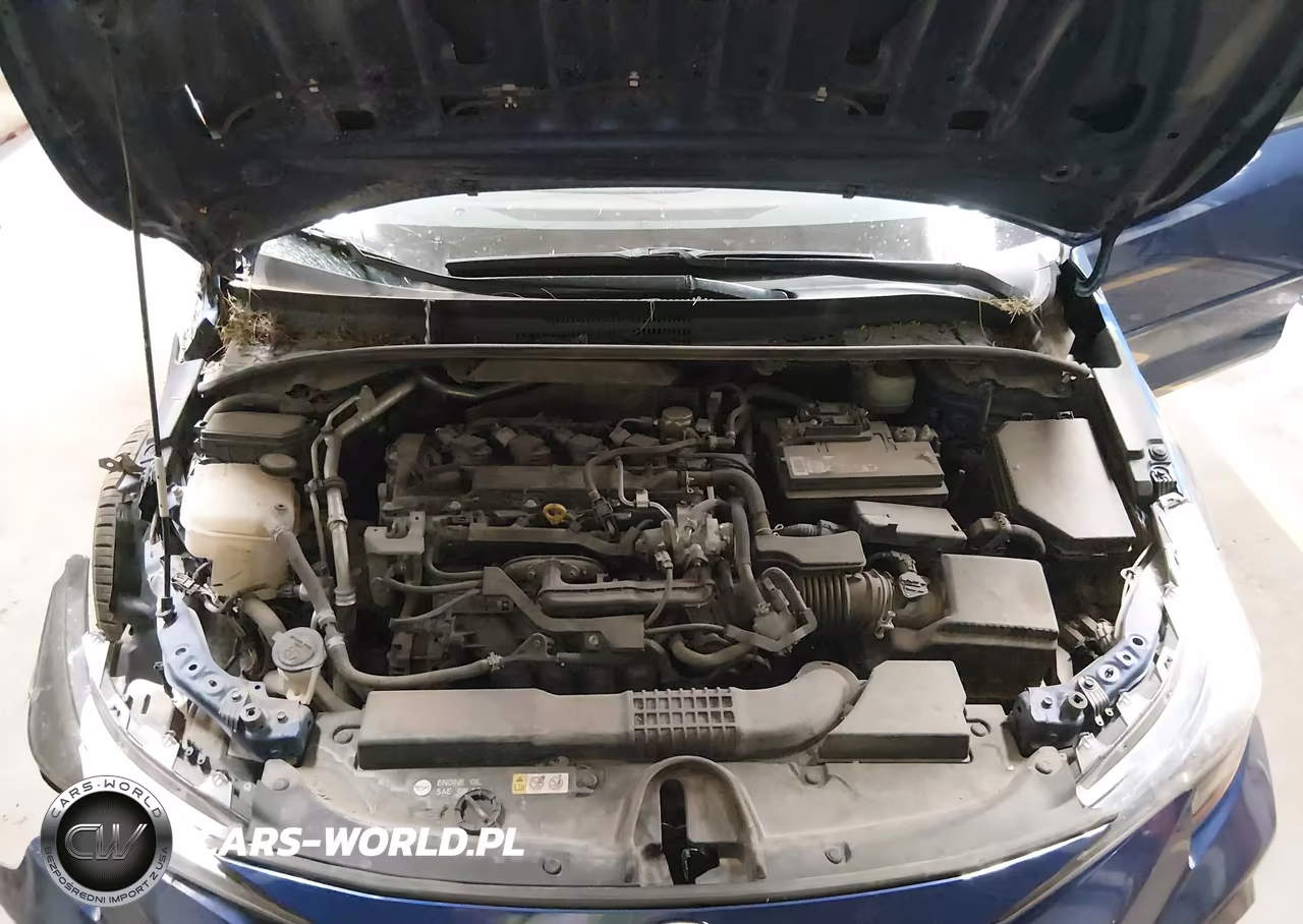 2020 Toyota Corolla Se VIN:JTDP4RCE5LJ018068 - 10