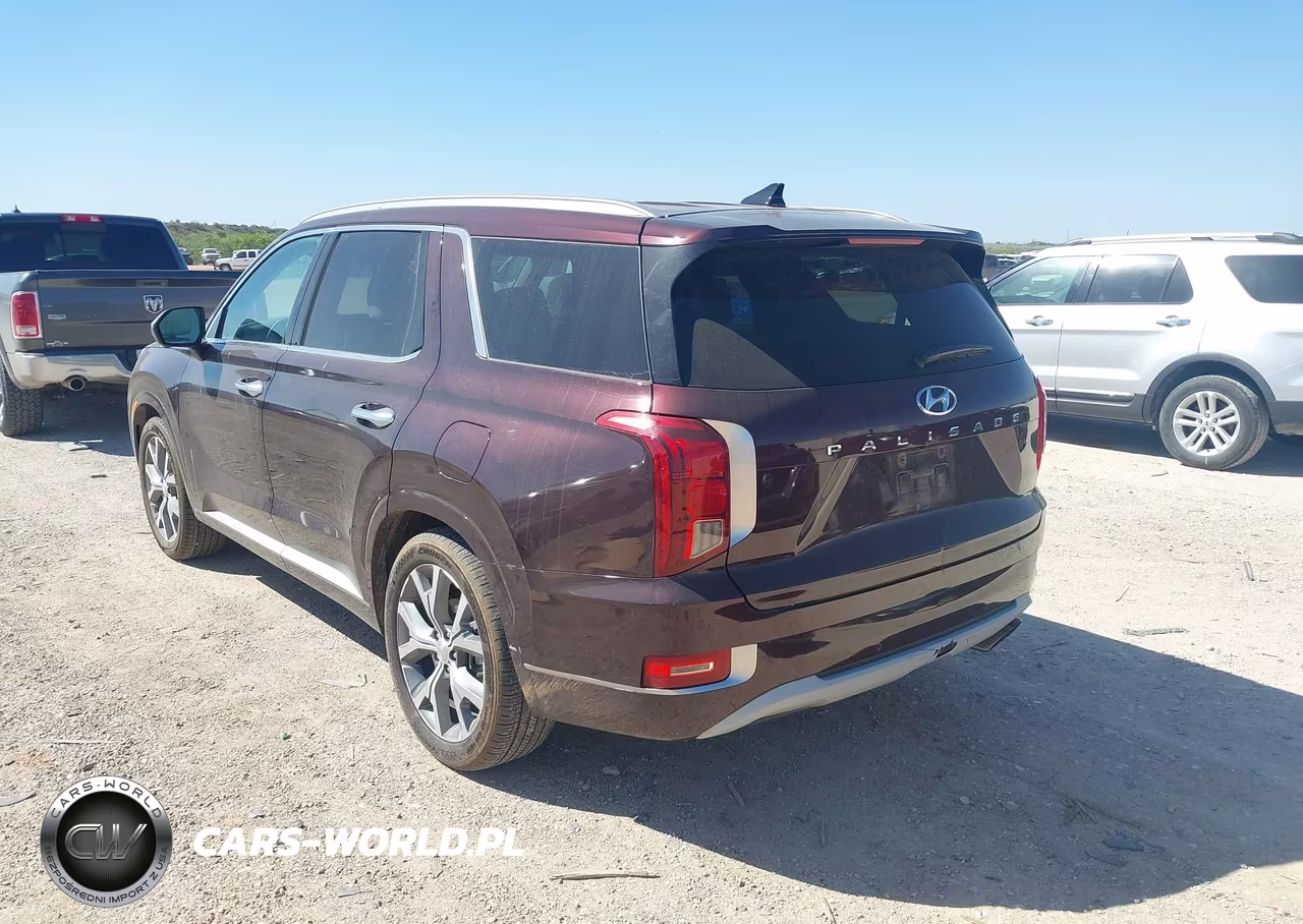 2022 Hyundai Palisade Limited VIN:KM8R54HEXNU365720 - 3