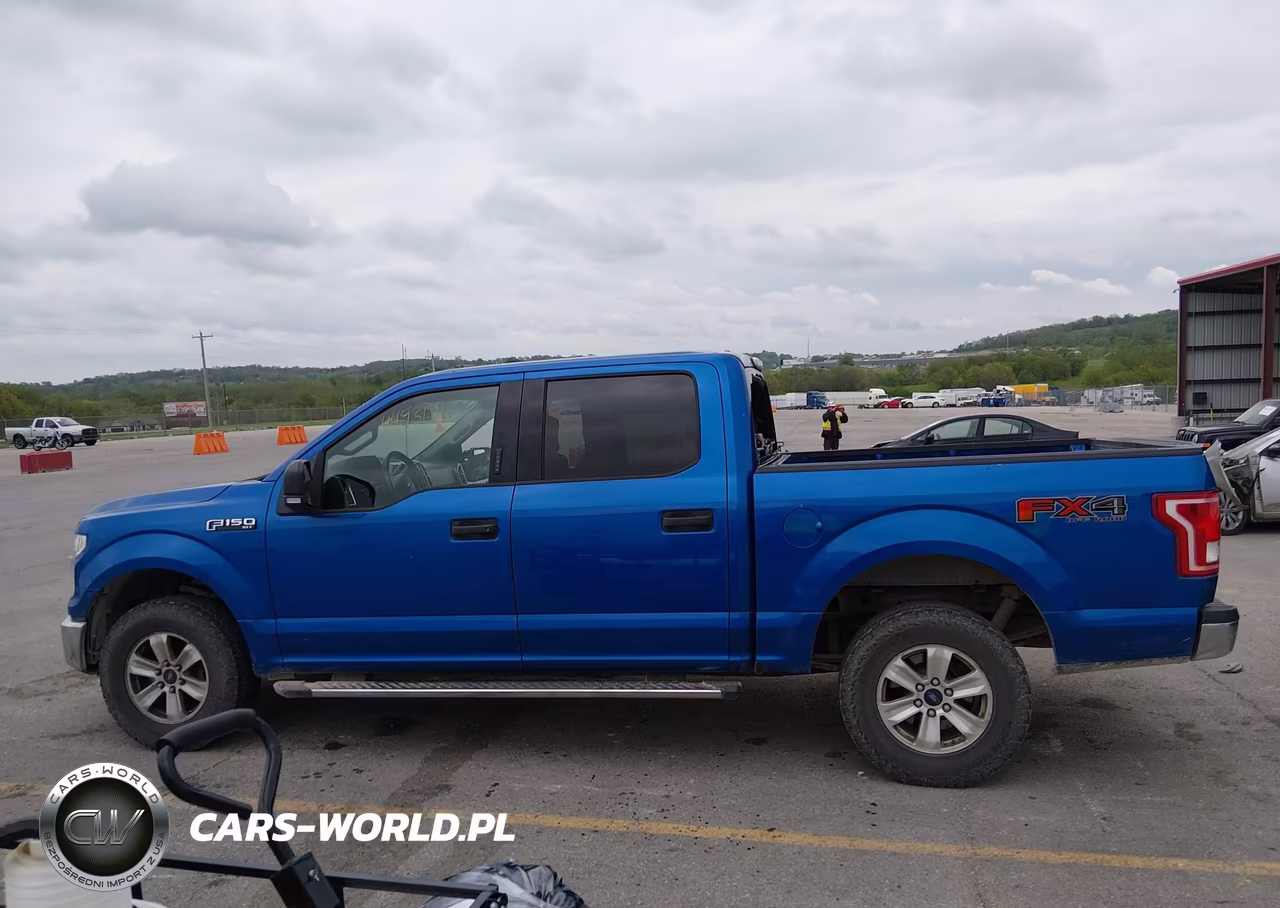 2015 Ford F-150 Xlt VIN:1FTEW1EF3FKE40153 - 15