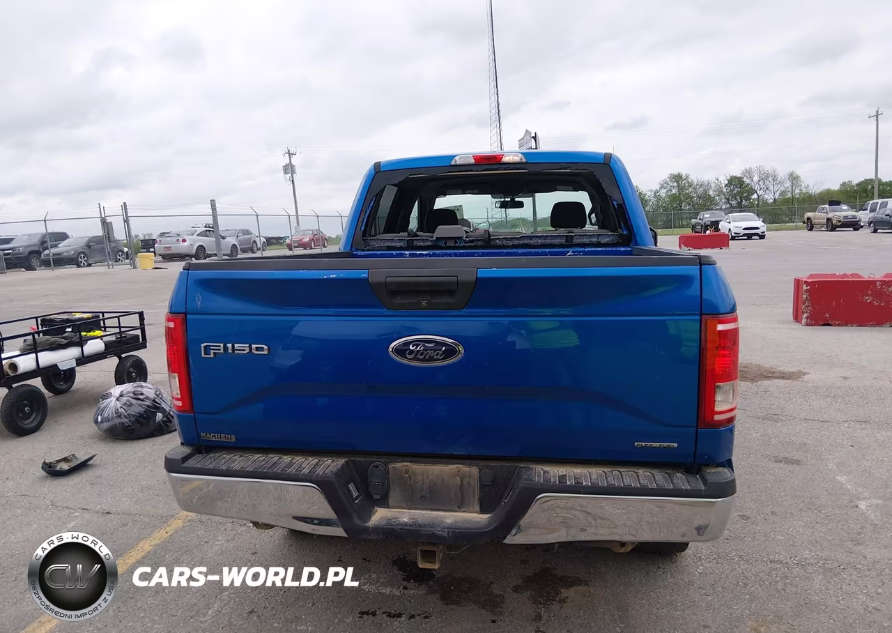 2015 Ford F-150 Xlt VIN:1FTEW1EF3FKE40153 - 17