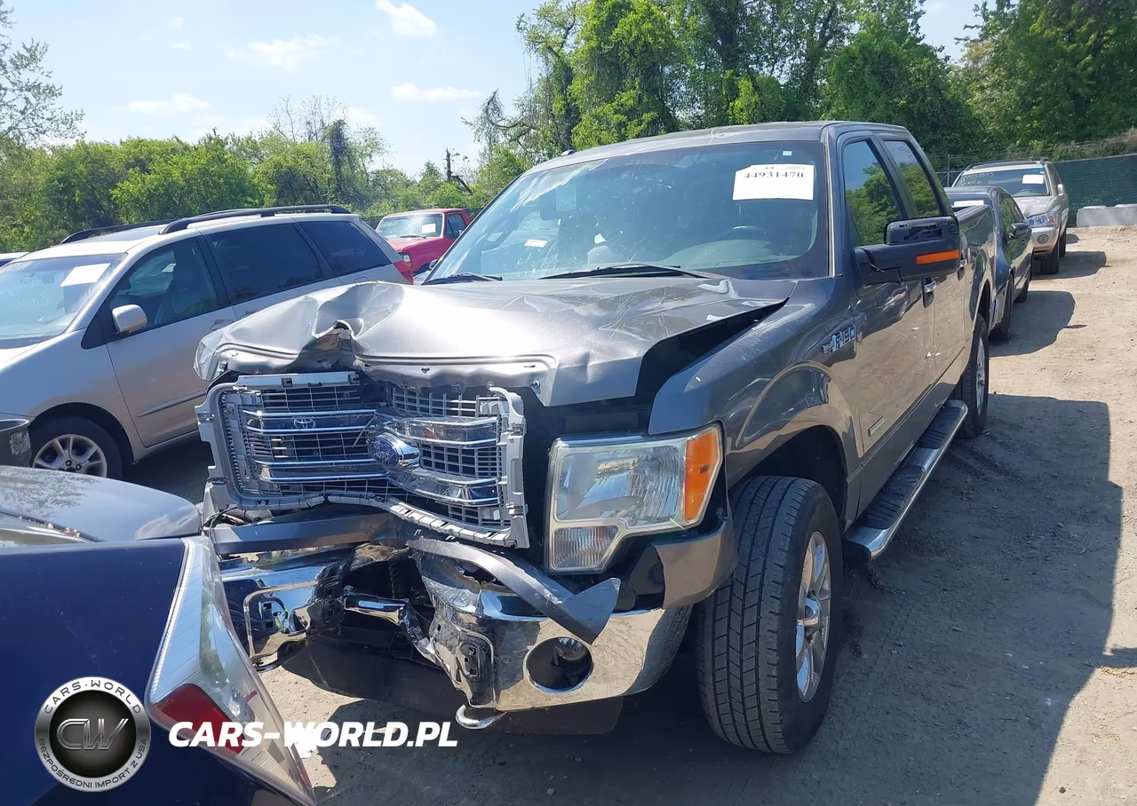 2013 Ford F-150 Xlt VIN:1FTFW1ET9DFB81006 - 13