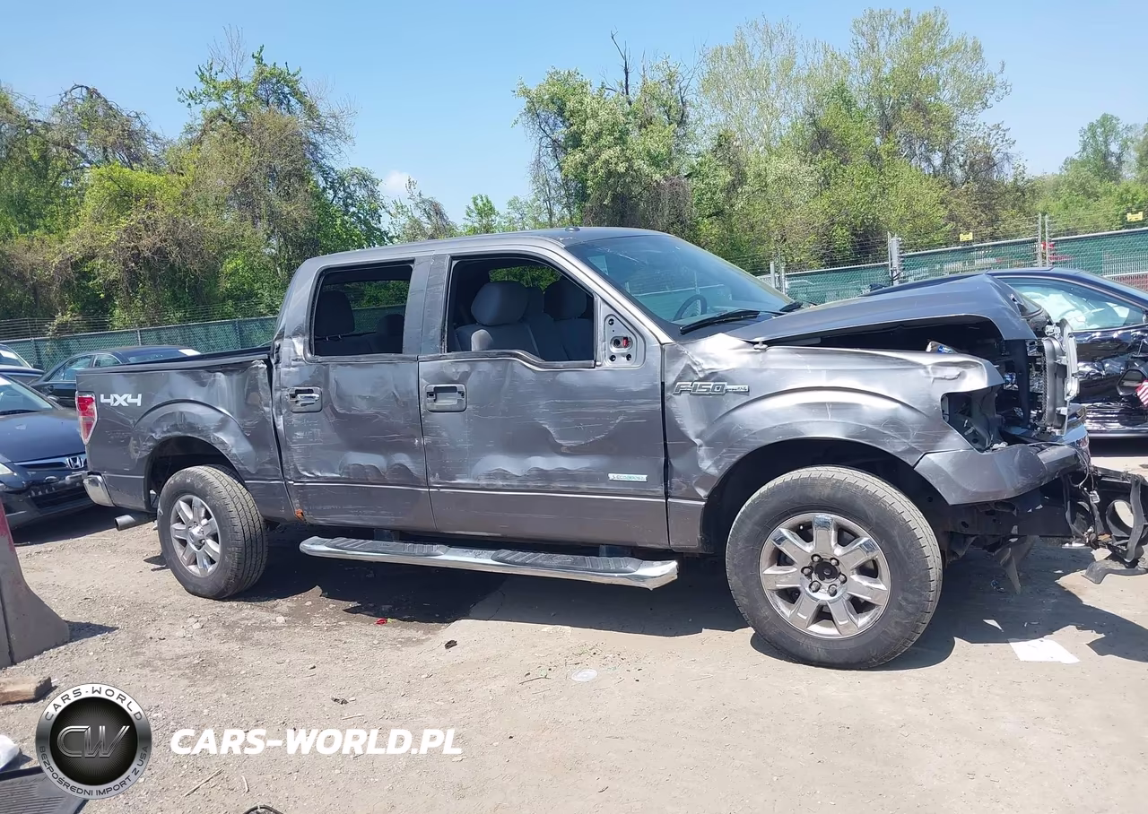2013 Ford F-150 Xlt VIN:1FTFW1ET9DFB81006 - 14