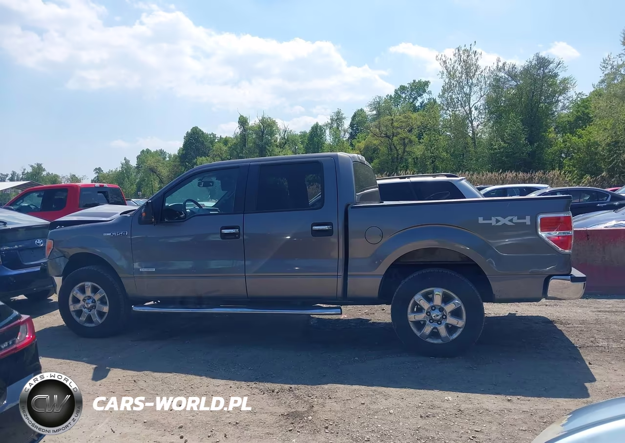 2013 Ford F-150 Xlt VIN:1FTFW1ET9DFB81006 - 15