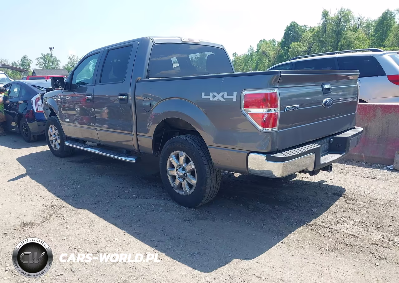 2013 Ford F-150 Xlt VIN:1FTFW1ET9DFB81006 - 3