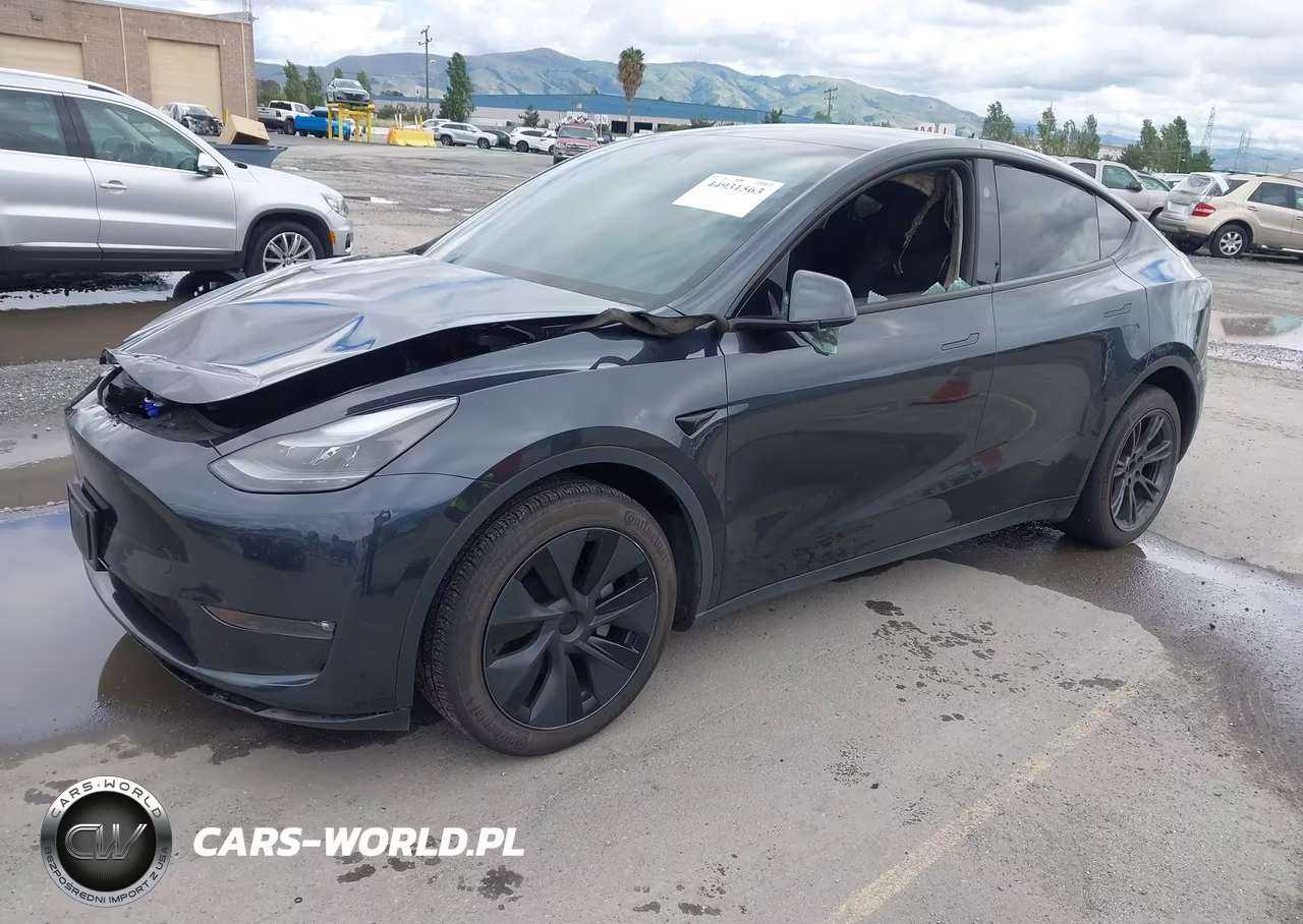 2025 Tesla Model Y Long Range Dual Motor All-Wheel Drive VIN:7SAYGDEE9SF295469 - 2