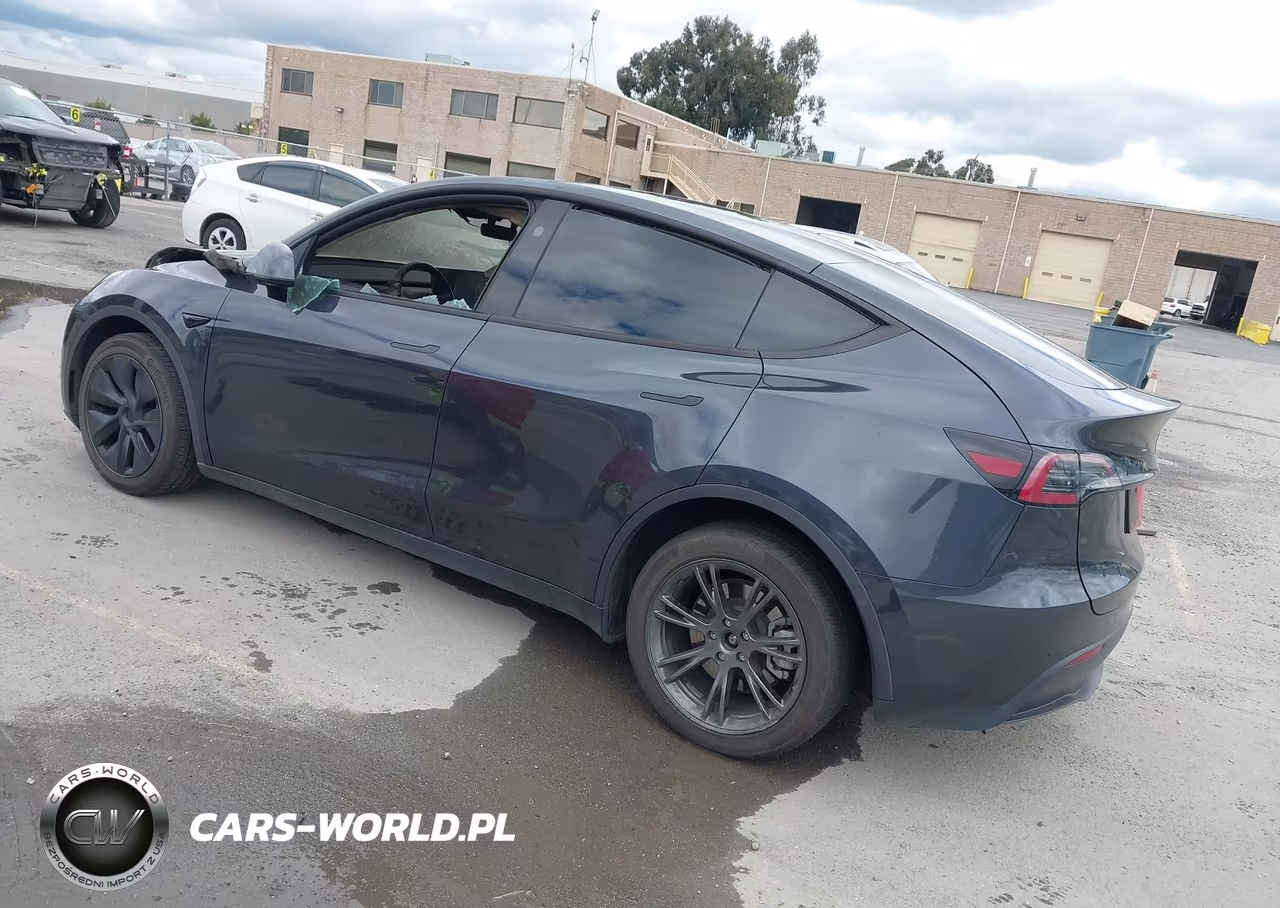 2025 Tesla Model Y Long Range Dual Motor All-Wheel Drive VIN:7SAYGDEE9SF295469 - 3