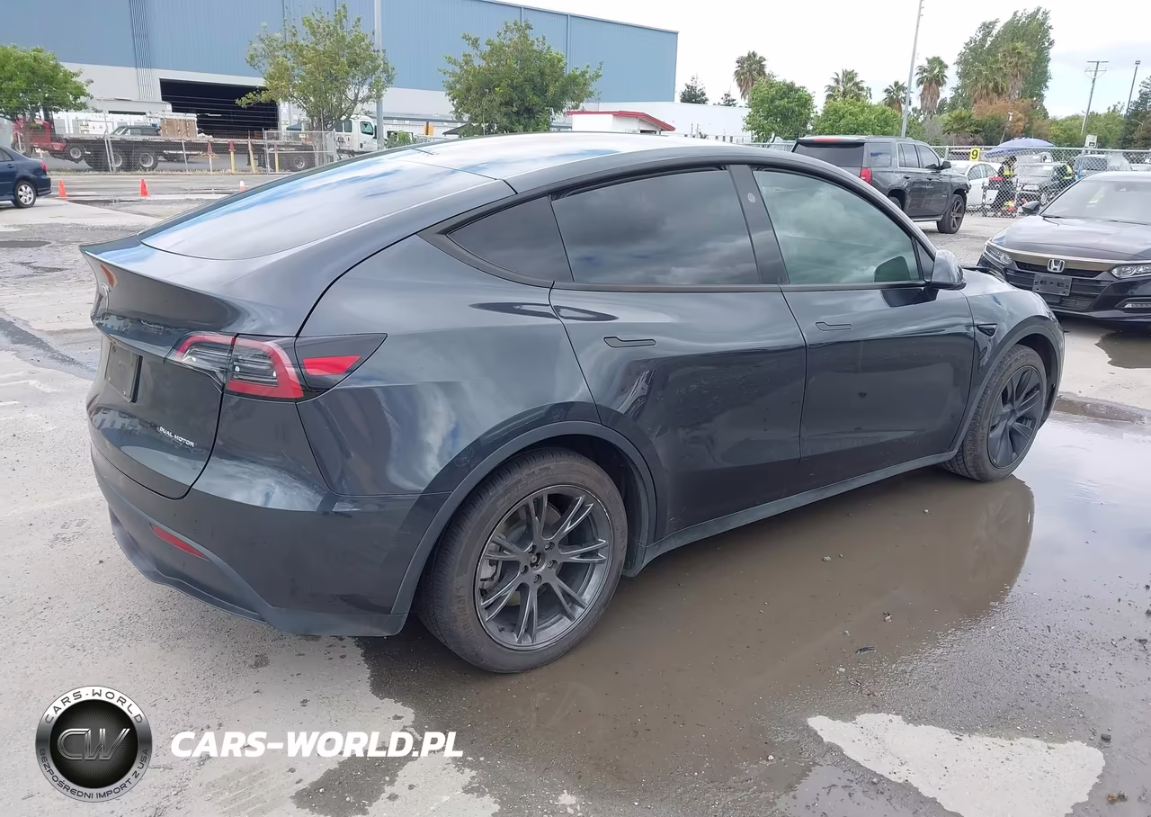 2025 Tesla Model Y Long Range Dual Motor All-Wheel Drive VIN:7SAYGDEE9SF295469 - 4