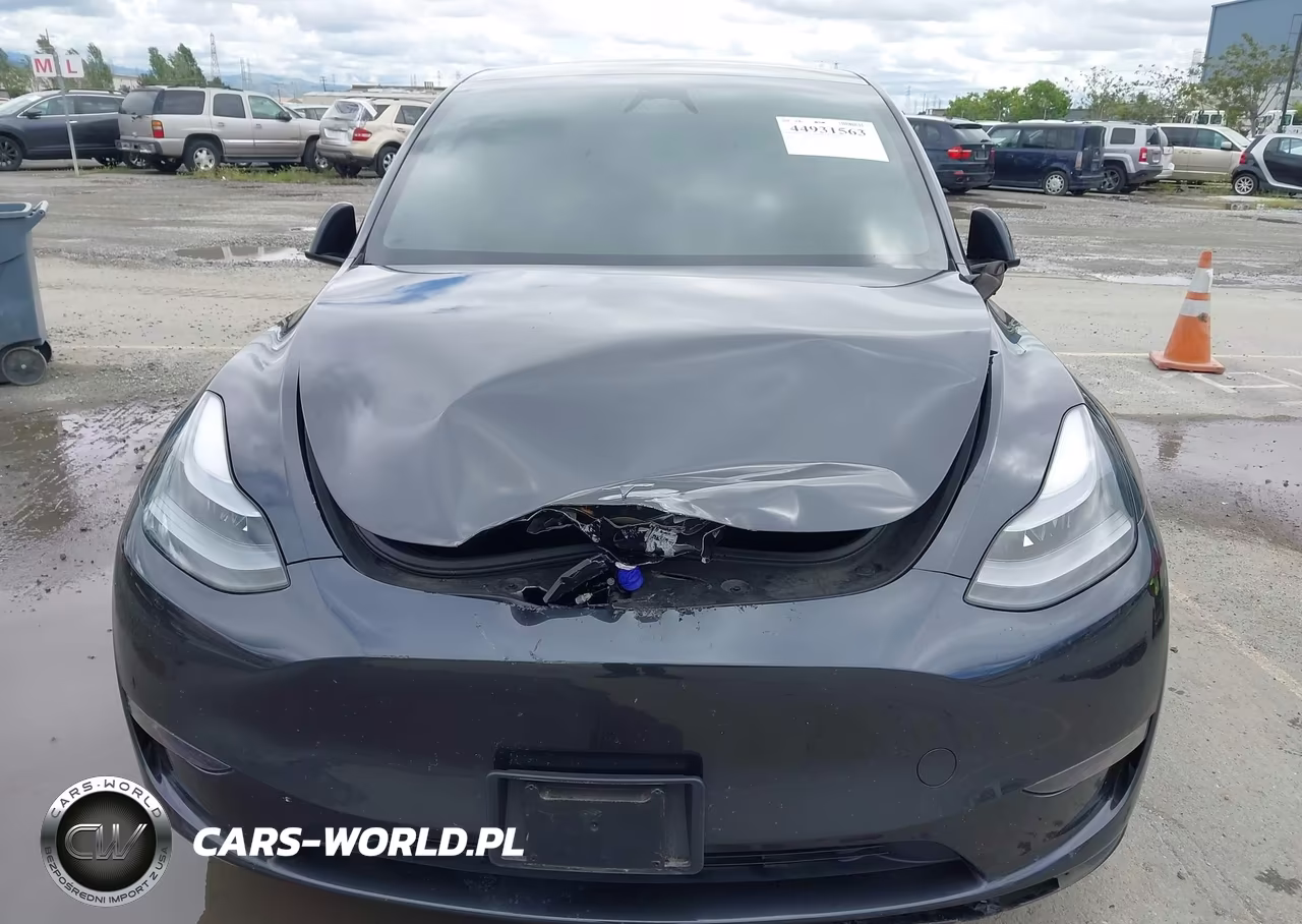 2025 Tesla Model Y Long Range Dual Motor All-Wheel Drive VIN:7SAYGDEE9SF295469 - 6