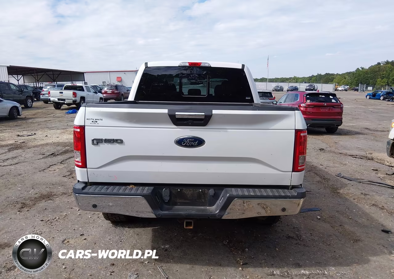 2017 Ford F-150 Xlt VIN:1FTEW1EG4HFC30567 - 17