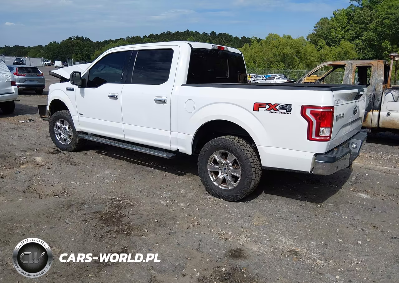 2017 Ford F-150 Xlt VIN:1FTEW1EG4HFC30567 - 3