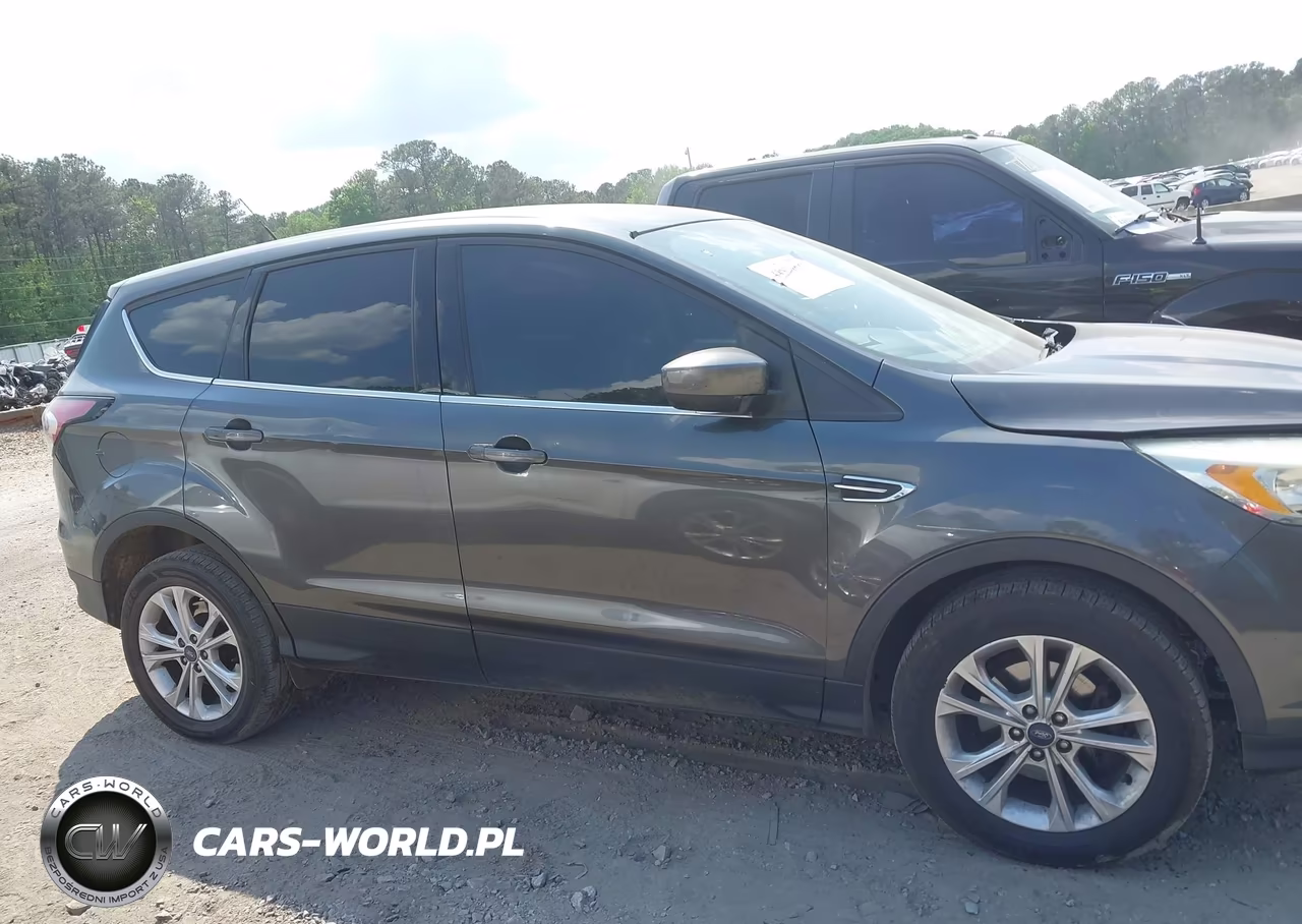 2017 Ford Escape Se VIN:1FMCU0GD3HUC85321 - 13