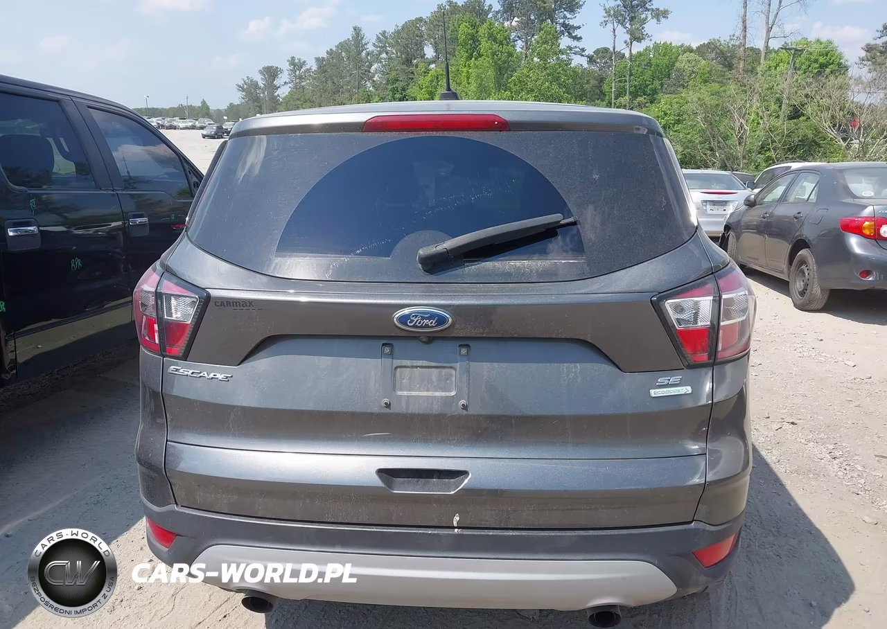 2017 Ford Escape Se VIN:1FMCU0GD3HUC85321 - 16