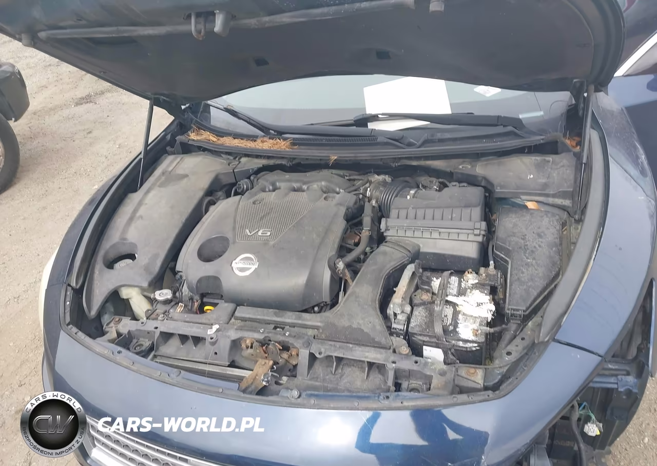 2010 Nissan Maxima 3.5 S VIN:1N4AA5AP5AC875106 - 10
