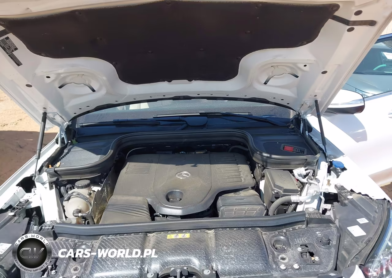 2024 Mercedes-Benz Gls 450 4Matic VIN:4JGFF5KE0RB164747 - 10