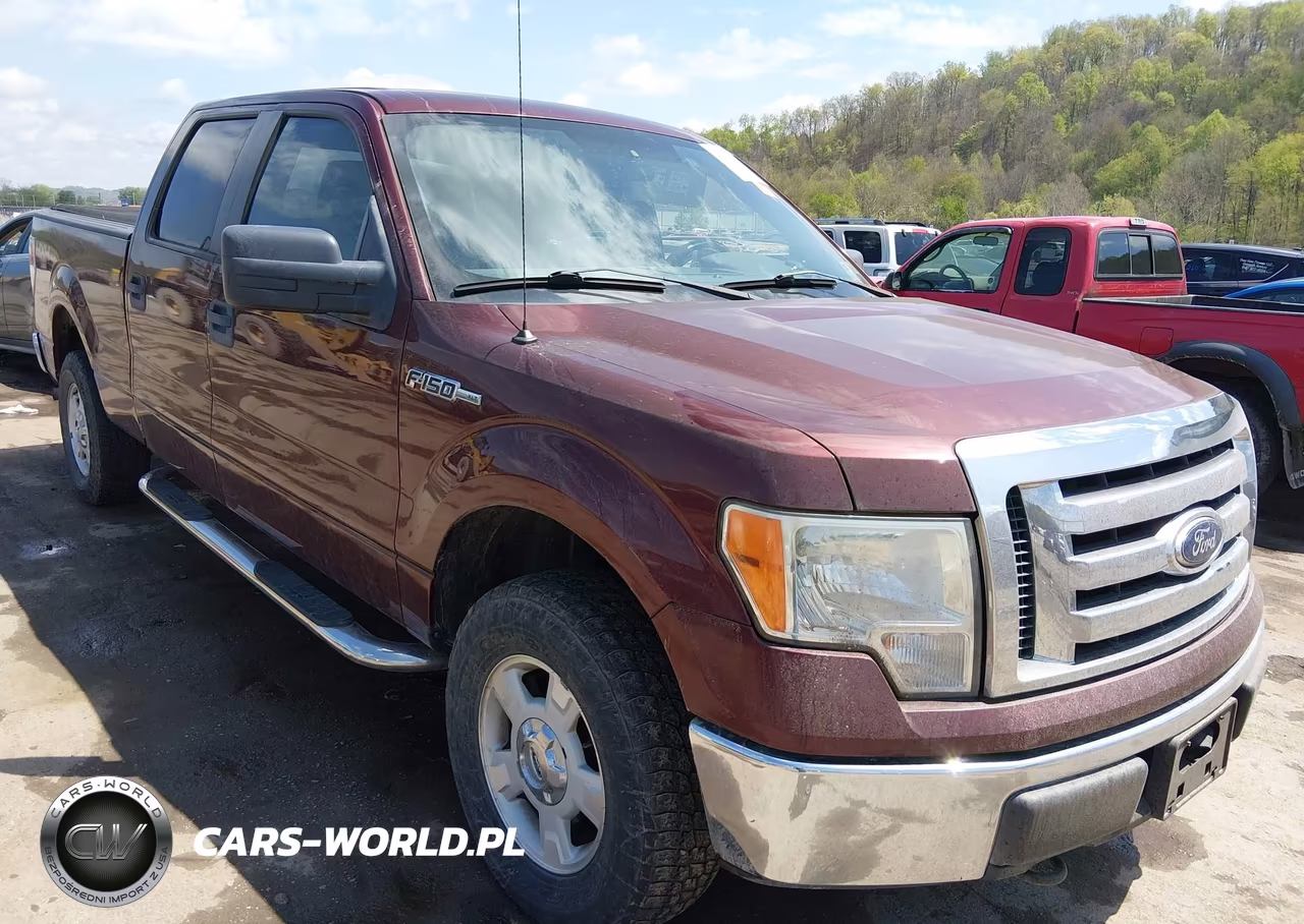 2010 Ford F-150 Xl-Xlt