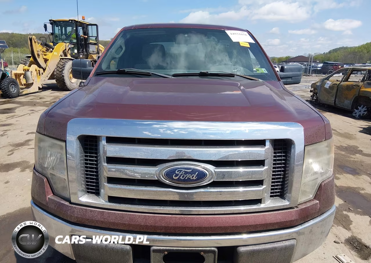 2010 Ford F-150 Xl-Xlt VIN:1FTFW1E81AFA56993 - 12