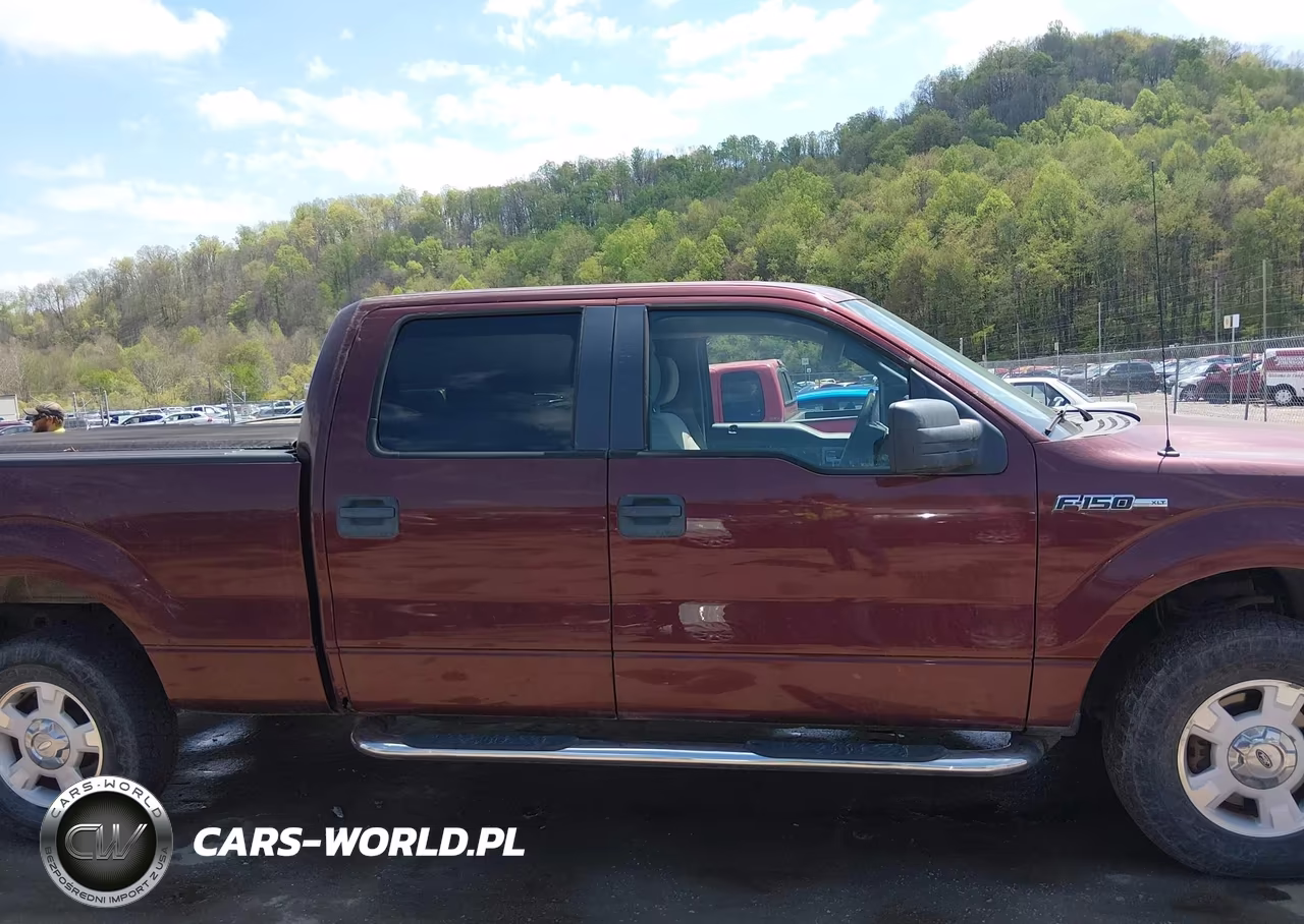 2010 Ford F-150 Xl-Xlt VIN:1FTFW1E81AFA56993 - 13