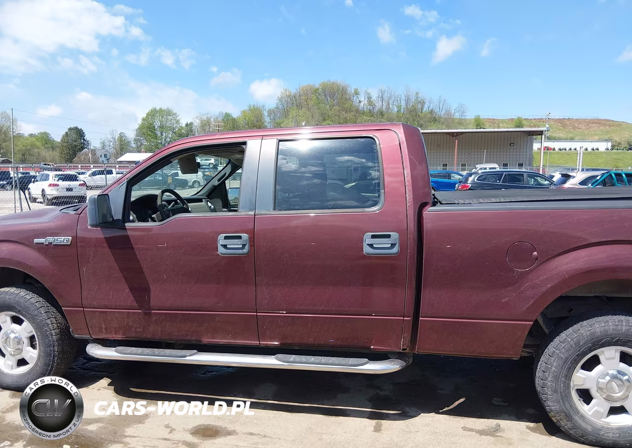 2010 Ford F-150 Xl-Xlt VIN:1FTFW1E81AFA56993 - 14