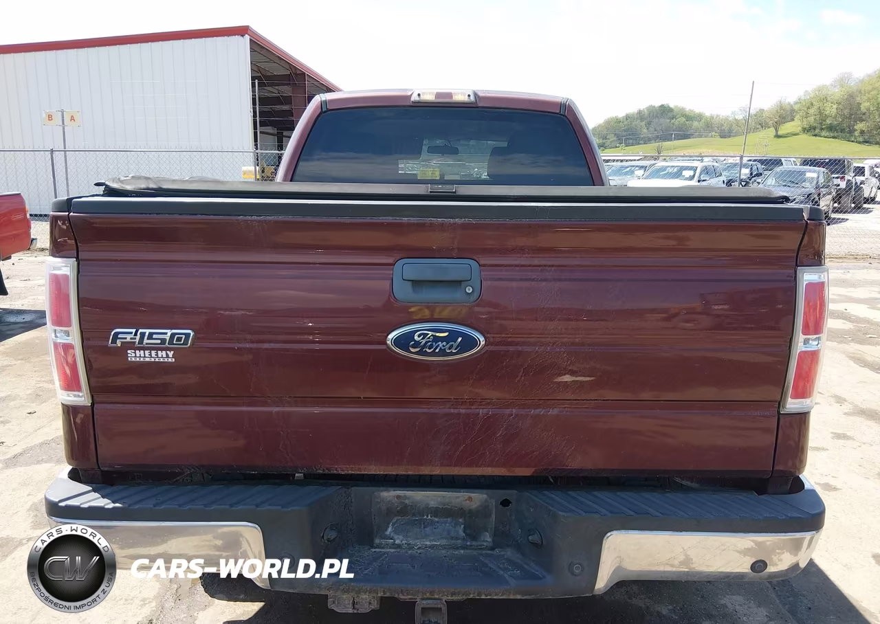 2010 Ford F-150 Xl-Xlt VIN:1FTFW1E81AFA56993 - 16