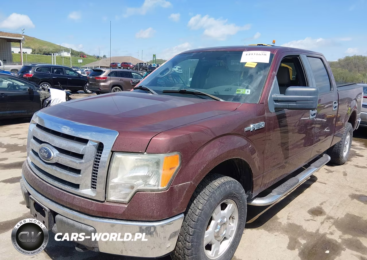 2010 Ford F-150 Xl-Xlt VIN:1FTFW1E81AFA56993 - 2
