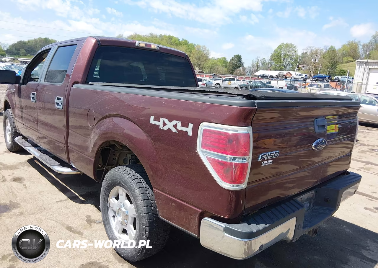 2010 Ford F-150 Xl-Xlt VIN:1FTFW1E81AFA56993 - 3