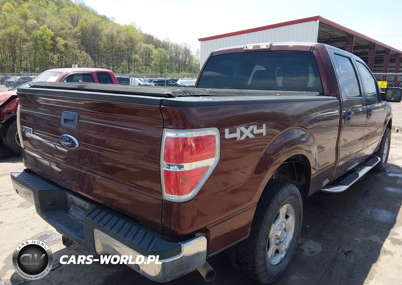 2010 Ford F-150 Xl-Xlt VIN:1FTFW1E81AFA56993 - 4
