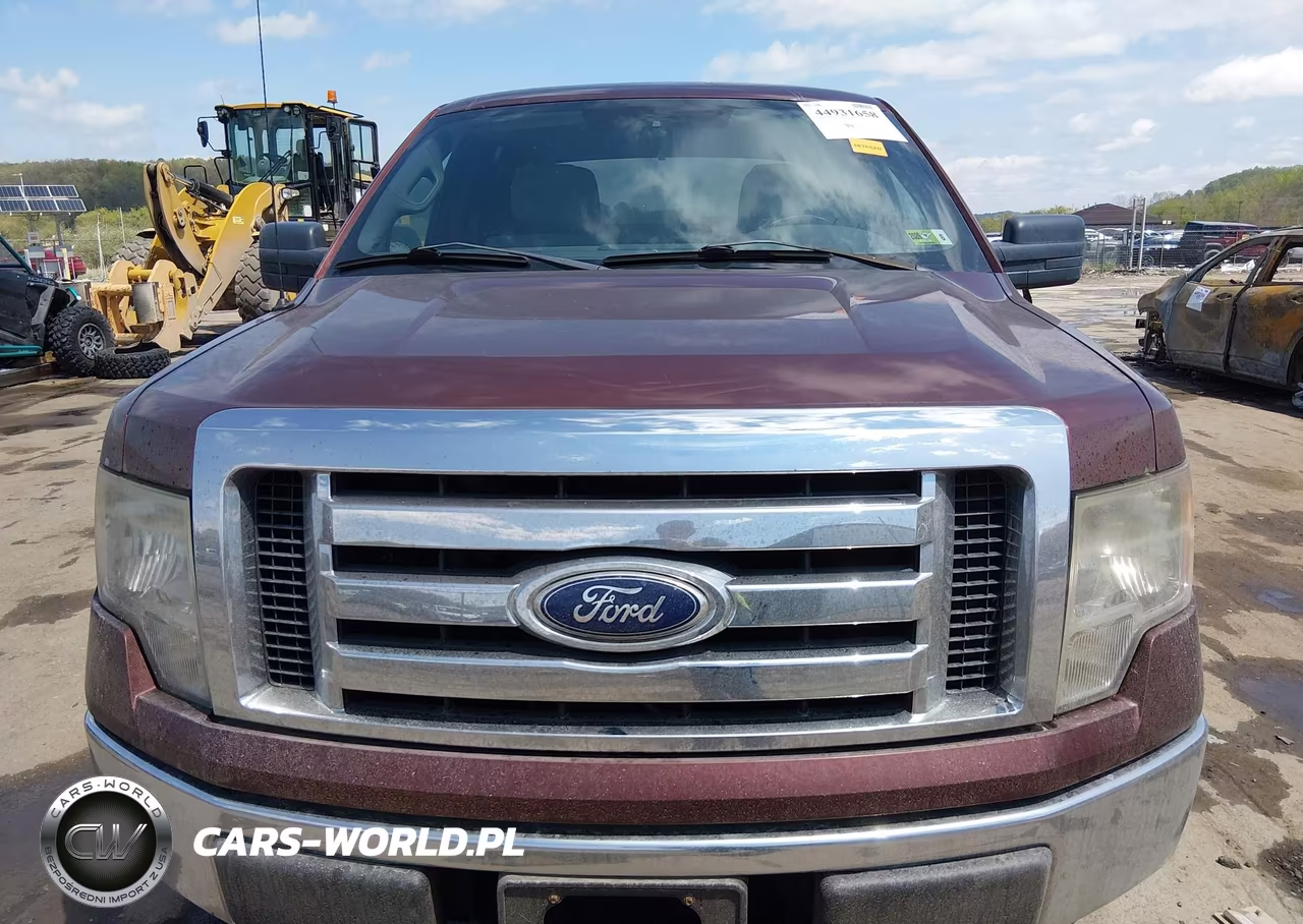 2010 Ford F-150 Xl-Xlt VIN:1FTFW1E81AFA56993 - 6