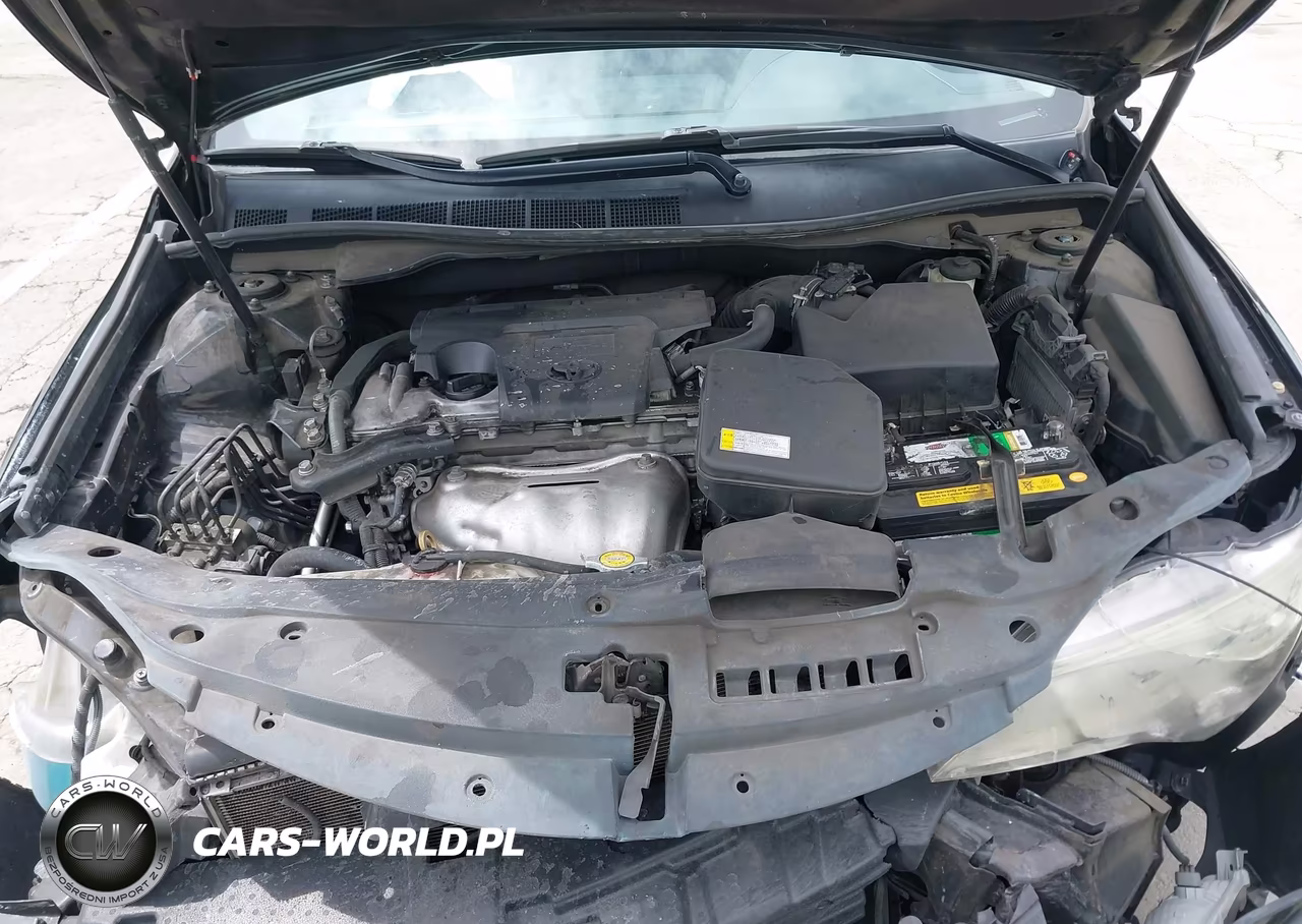 2016 Toyota Camry Se VIN:4T1BF1FK6GU516030 - 10
