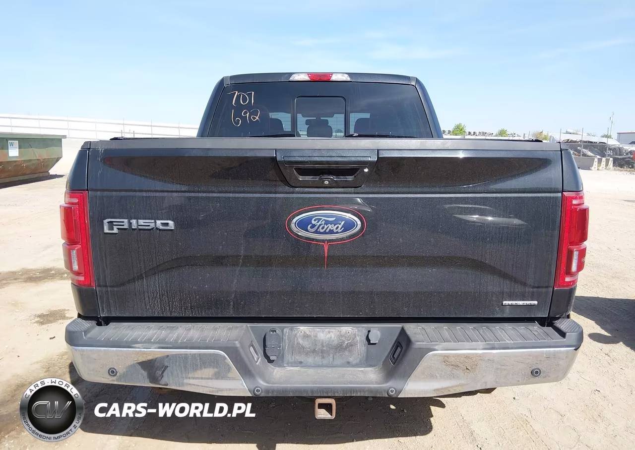 2015 Ford F-150 Lariat VIN:1FTEW1EF0FKE21320 - 17