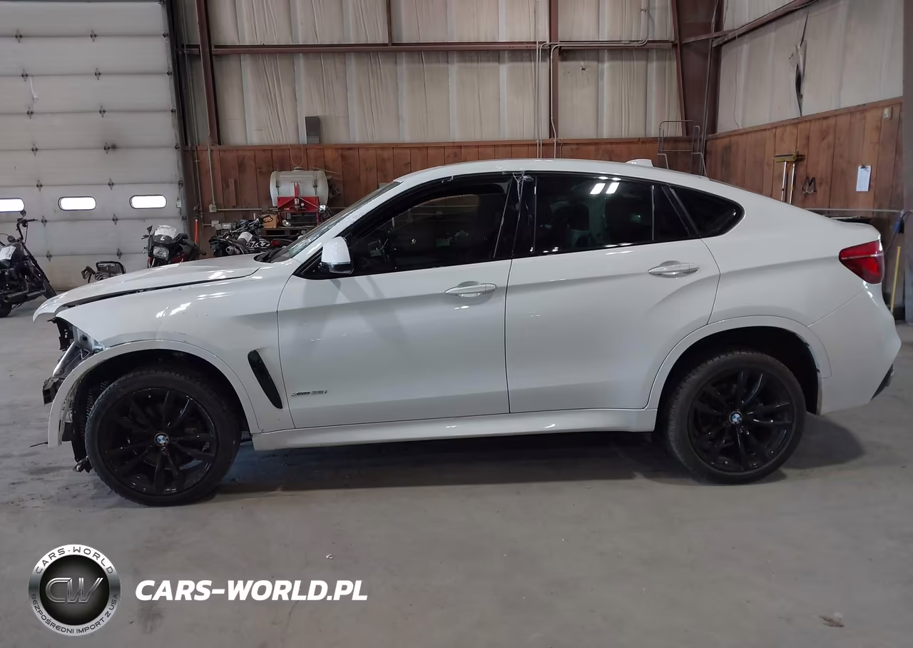 2018 BMW X6 xDrive35I VIN:5UXKU2C5XJ0Z61026 - 15