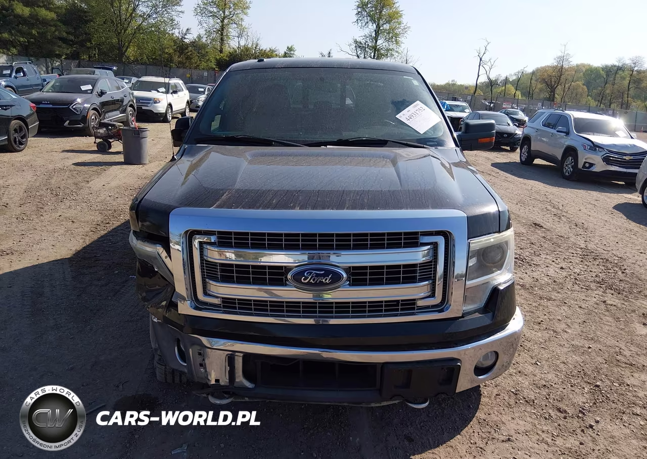 2014 Ford F-150 Xlt VIN:1FTFX1ET1EFA99852 - 12