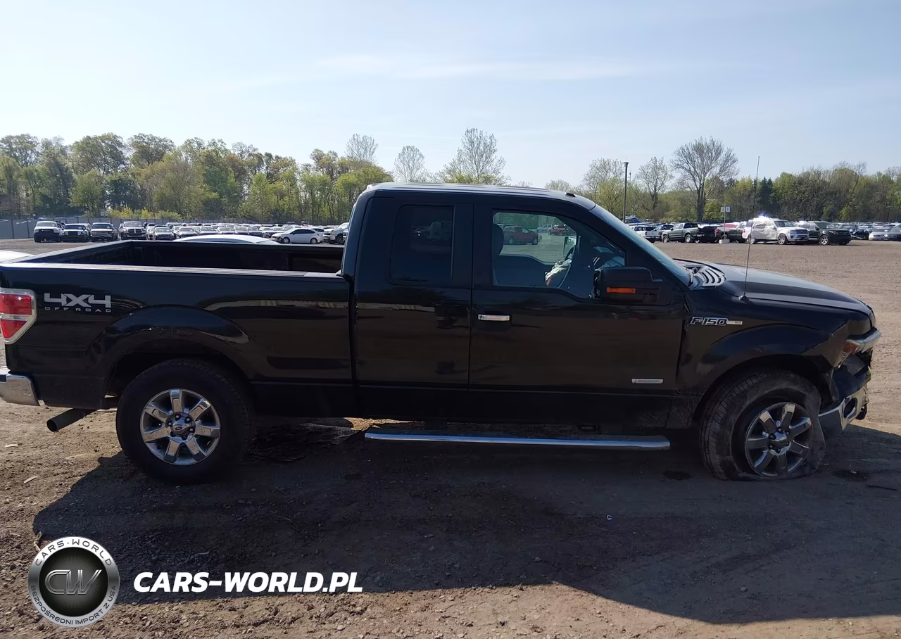 2014 Ford F-150 Xlt VIN:1FTFX1ET1EFA99852 - 13