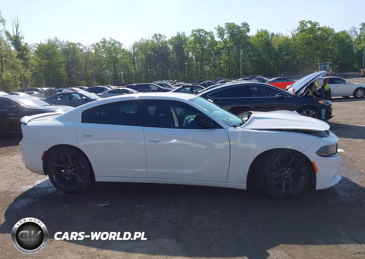 2020 Dodge Charger Sxt Rwd VIN:2C3CDXBGXLH176675 - 12