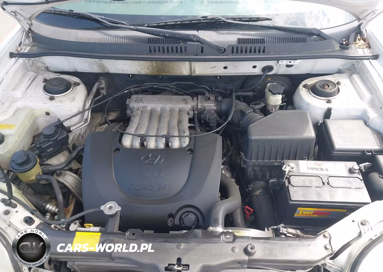 2001 Hyundai Santa Fe 2.7L V6 Gls-2.7L V6 Lx VIN:KM8SC83D51U124297 - 10
